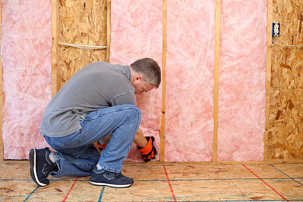 Best Residential Insulation in Brier, WA