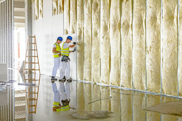 Best Types of Insulation in Brier, WA